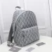 Dior CD Diamond Rider backpack 1:1 original Quality Gray/Black #999934425