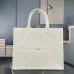 Dior Oblique Saddle AAA+ Handbags  #999926559