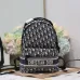 Dior Saumur Backpack AAA 1:1 Original Quality #A39412