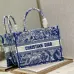 Dior book tote AAA+ Handbags #999926121