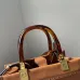 Fendi top quality new style  glass handle detachable shoulder strap  Sunshine small handbag #A22867