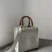 Fendi top quality new style  glass handle detachable shoulder strap  Sunshine small handbag #A22869