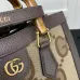 Brand Gucci AAA+Handbags #999919754