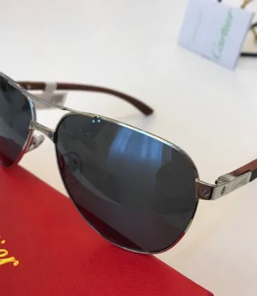 Cartier AAA+ Sunglasses #9875142