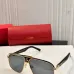 Cartier AAA+ Sunglasses #A35396