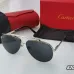 Cartier Sunglasses #A24619