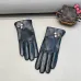 Louis Vuitton Glove #A42891