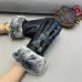 Louis Vuitton Glove #A42893