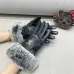 Louis Vuitton Glove #A42895