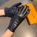 Louis Vuitton Glove #A42902