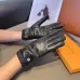 Louis Vuitton Glove #A42905