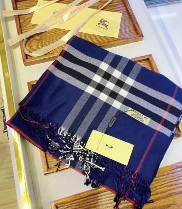 Burberry Scarfs #999902456