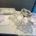 Dior AAA Scarf #A31255