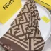 Fendi Scarf #999915292