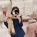 Louis Vuitton Scarf #999915277