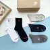 Burberry socks (5 pairs) #A41931