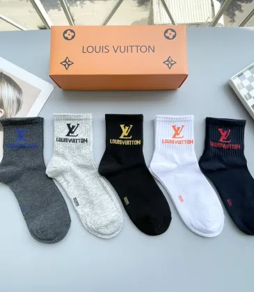 Louis Vuitton socks (5 pairs) #A41954