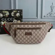 Gucci AAA+ Waist Bag #9102477