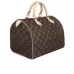 Louis Vuitton 2021 speedy printed canvas Handbag for women #9121479