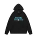 AMIRI Hoodies for Men #A42242