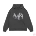 AMIRI Hoodies for Men #A45106