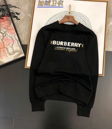 Burberry Hoodies for Men #999918493