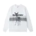 Burberry Hoodies for Men #A29399