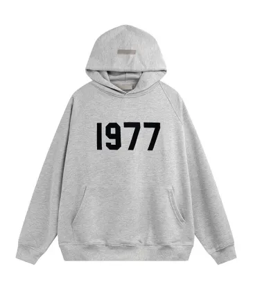 FOG Essentials Hoodies #999927460