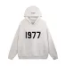 FOG Essentials Hoodies #999927461