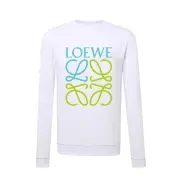 Loewe Hoodies #999918938