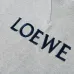 Loewe Hoodies for Men and women #A42365