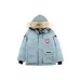 Canada goose jacket for Women 19fw expedition wolf hairs 80% white duck down 1:1 quality Canada goose down coat #99899244