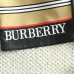 Burberry Pants for Burberry Short Pants for men #A35180