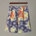 Louis Vuitton Pants for Louis Vuitton Short Pants for men #99903620