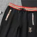 Burberry Tracksuits for Men's long tracksuits #A41121