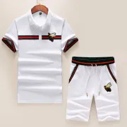 Gucci Tracksuits for Gucci short tracksuits for men #9122717