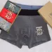 Burberry Underwears for Men (3PCS) #99117239