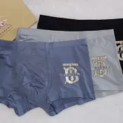 Burberry Underwears for Men (3PCS) #99117239