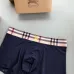 Burberry Underwears for Men (3PCS) #99117245