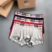 Burberry Underwears for Men (3PCS) #99117245