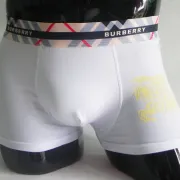 Burberry knickers for Men #852080