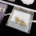 Dior Earrings #999916164