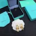 Tiffany Earrings #999916167