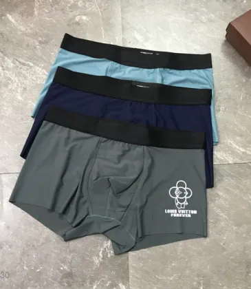 Louis Vuitton Underwears for Men (3PCS) #99117264