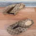 Louis Vuitton Shoes for Men's Louis Vuitton Slippers #99905973