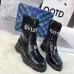 Louis Vuitton Shoes for Women's Louis Vuitton boots #999919120